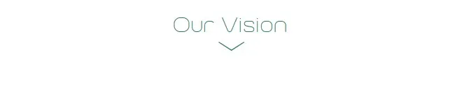 Our Vision